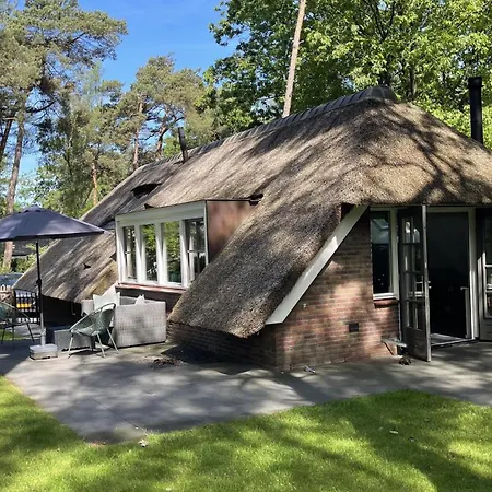 Country Estate Sprielderbosch 26 De Beuk Ferienhaus *