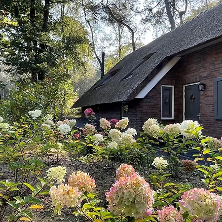 Country Estate Sprielderbosch 26 De Beuk Ferienhaus Garderen