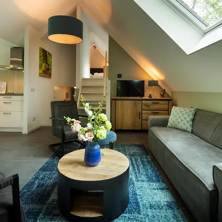Country Estate Sprielderbosch 26 De Beuk * Garderen