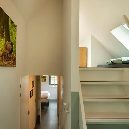 Country Estate Sprielderbosch 26 De Beuk Ferienhaus *