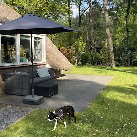 Country Estate Sprielderbosch 26 De Beuk *