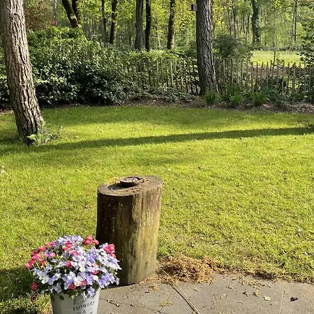 Country Estate Sprielderbosch 26 De Beuk Ferienhaus Garderen